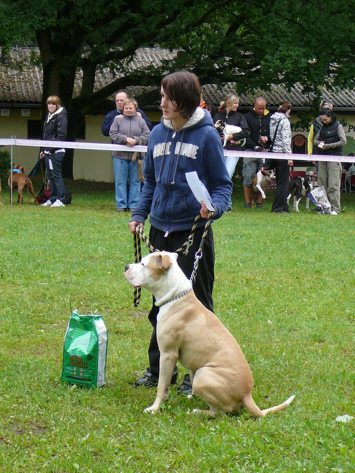 2. místo WPS